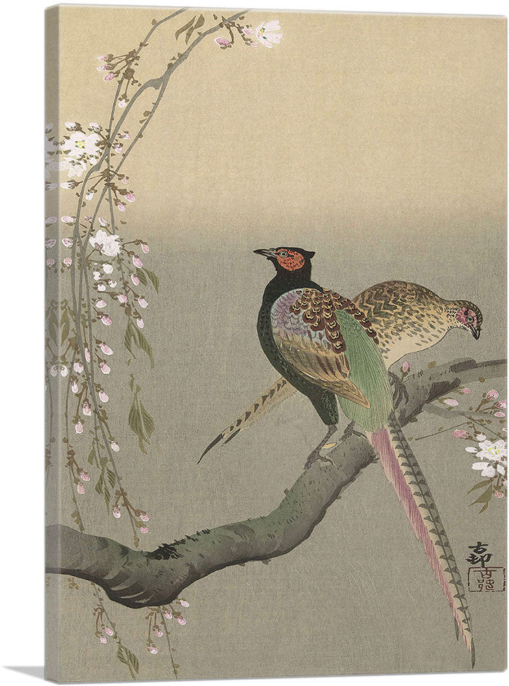 Two Pheasants On a Branch