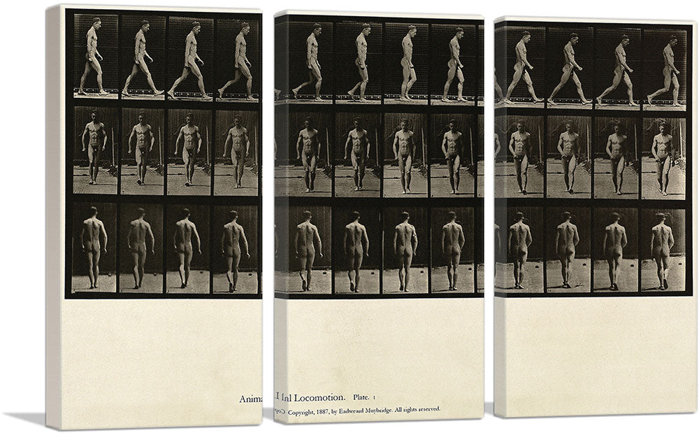 3-panel