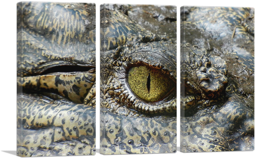 3-panel