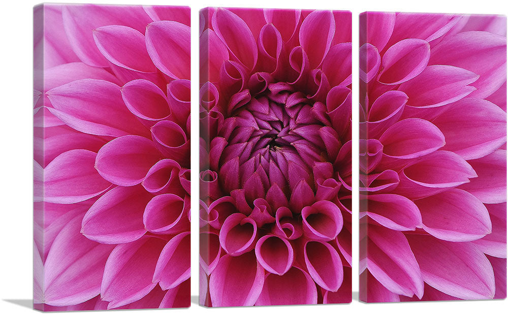 3-panel