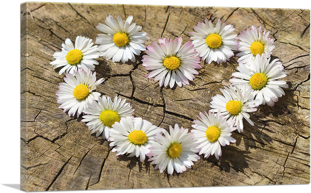 1-panel