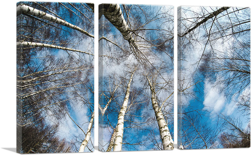 3-panel