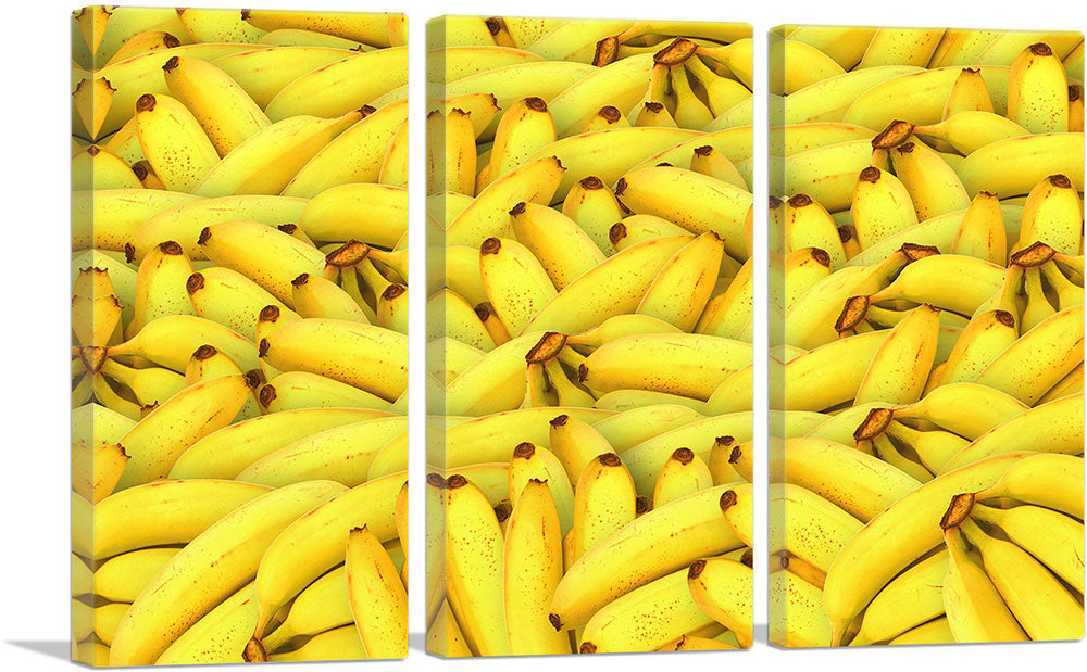 3-panel