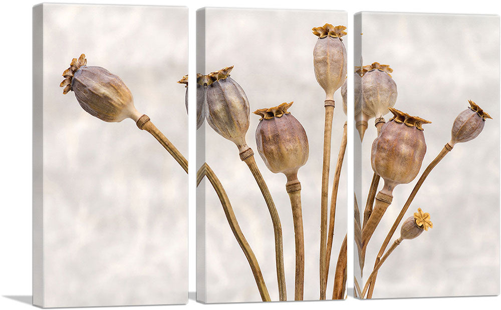 3-panel