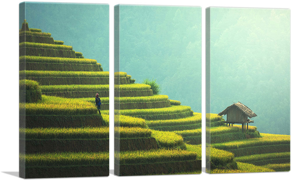 3-panel