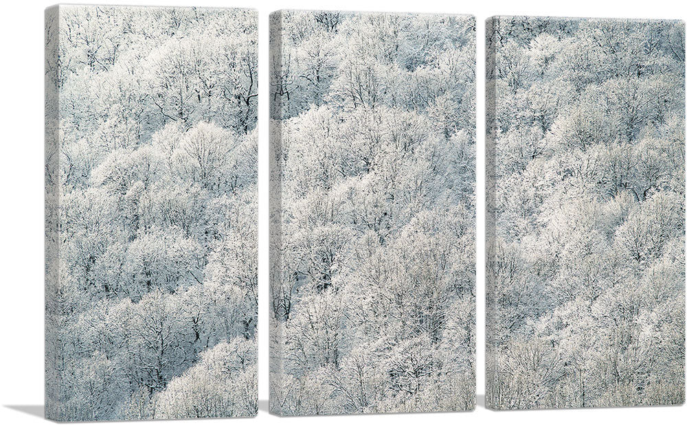 3-panel