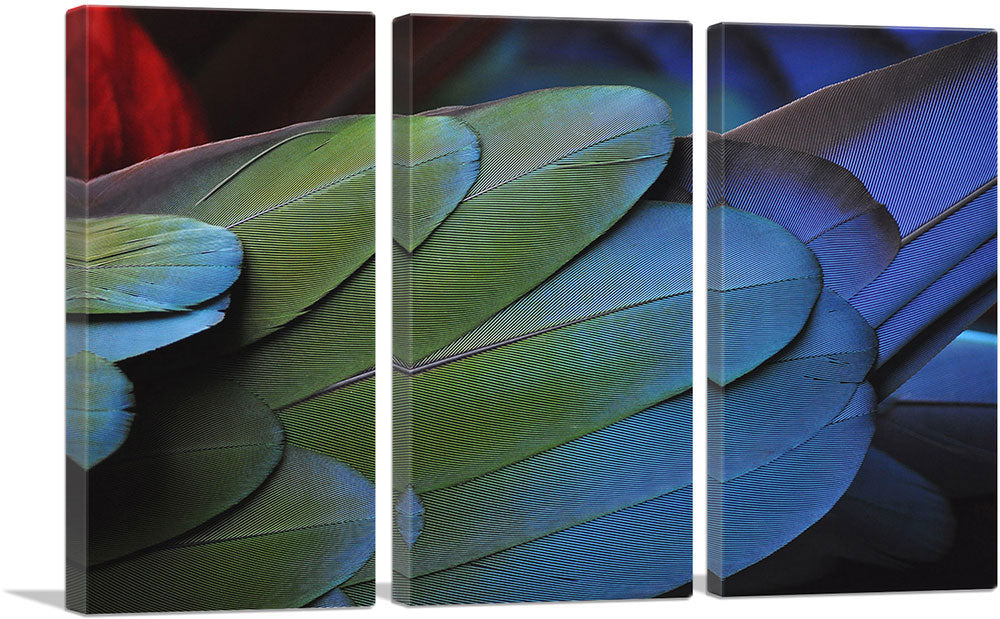3-panel