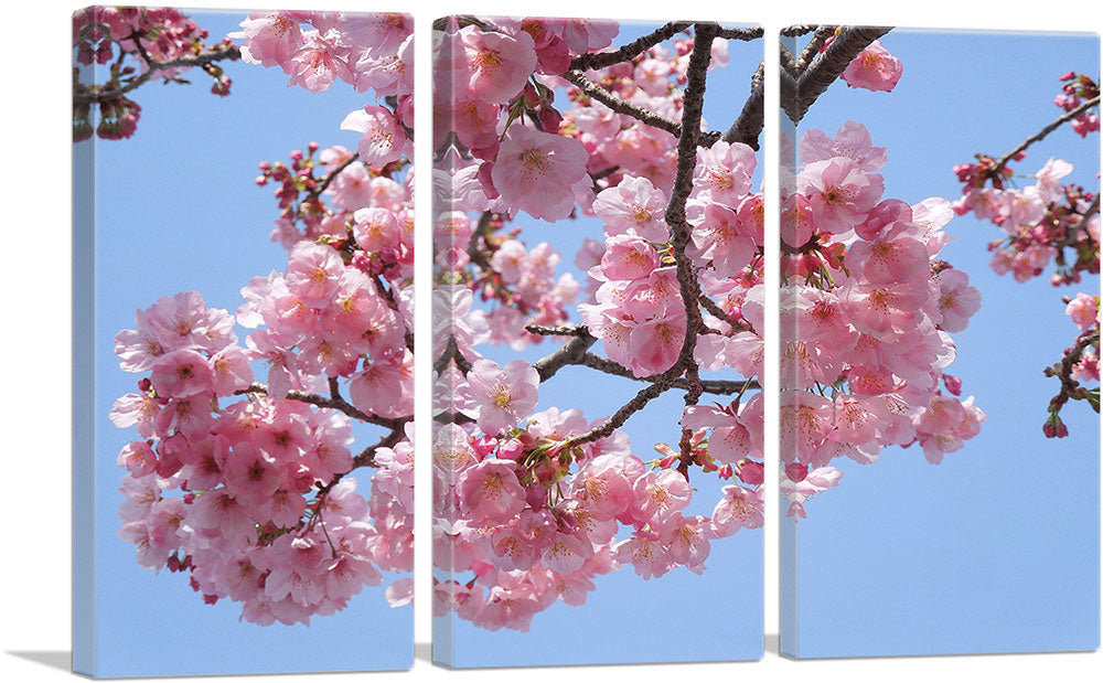 3-panel