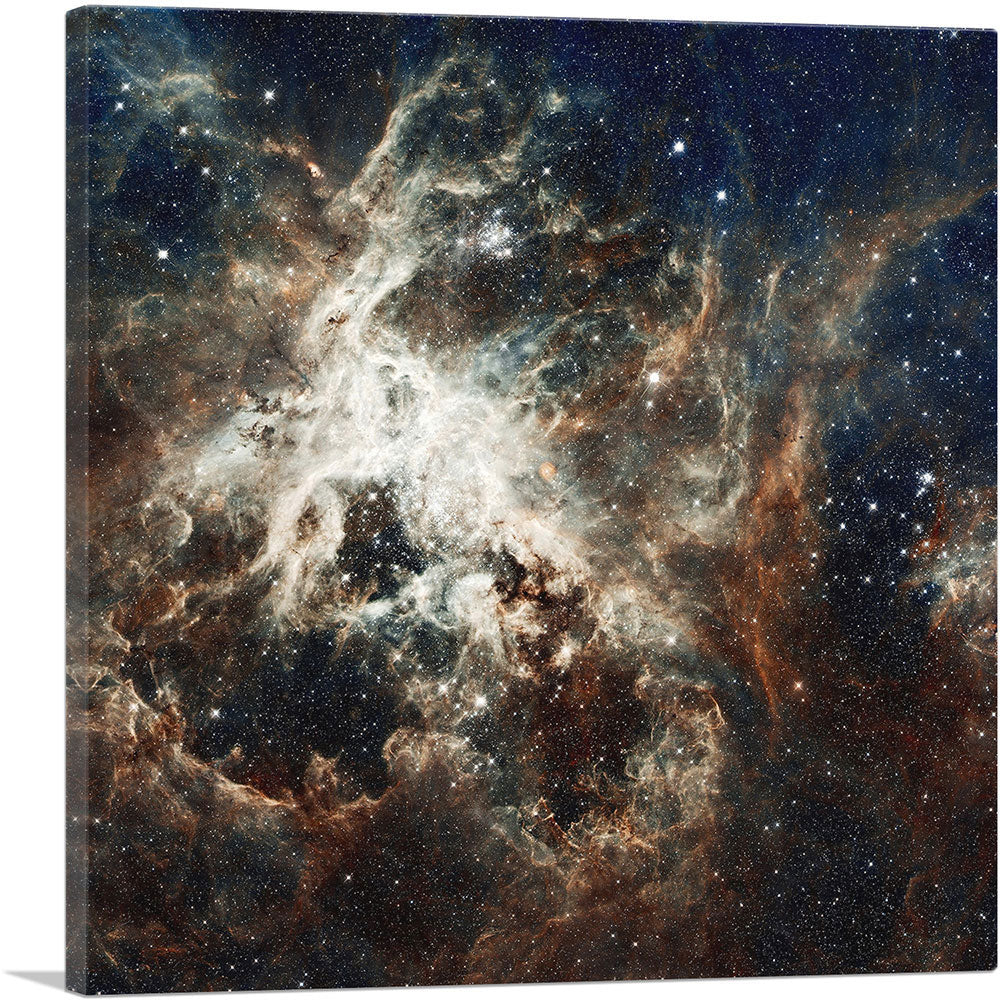 1-panel