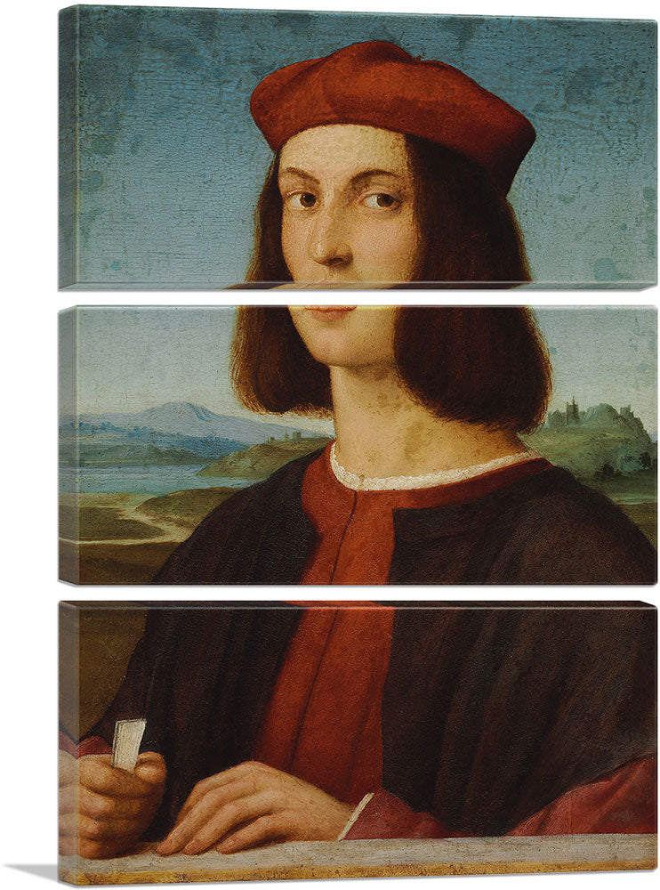 3-panel