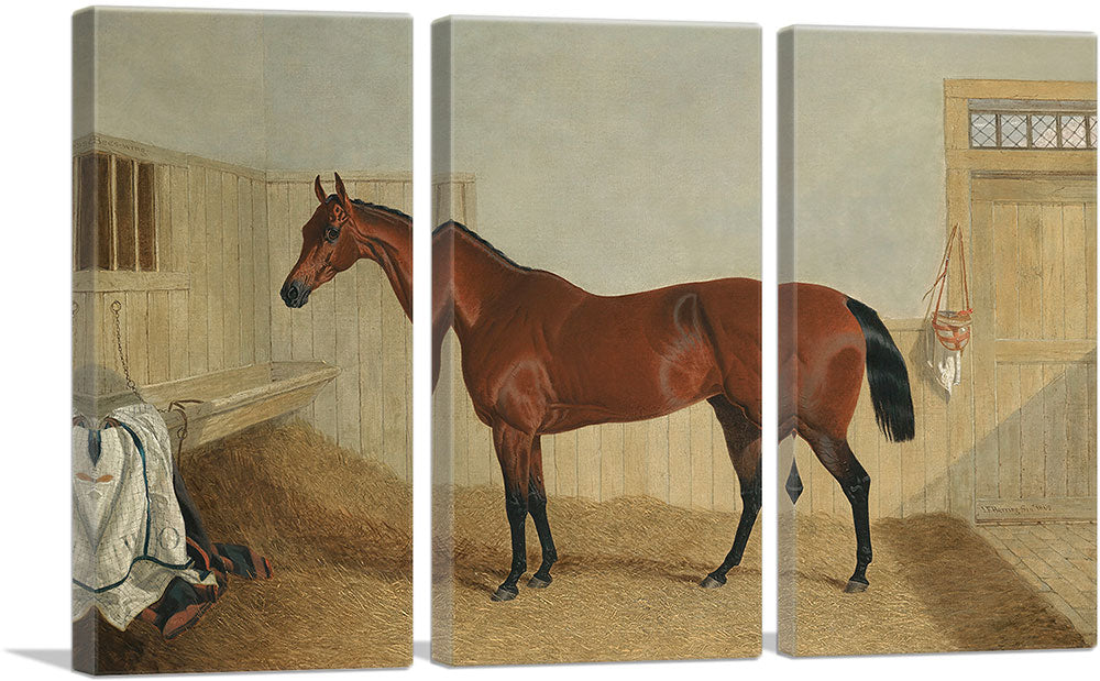 3-panel