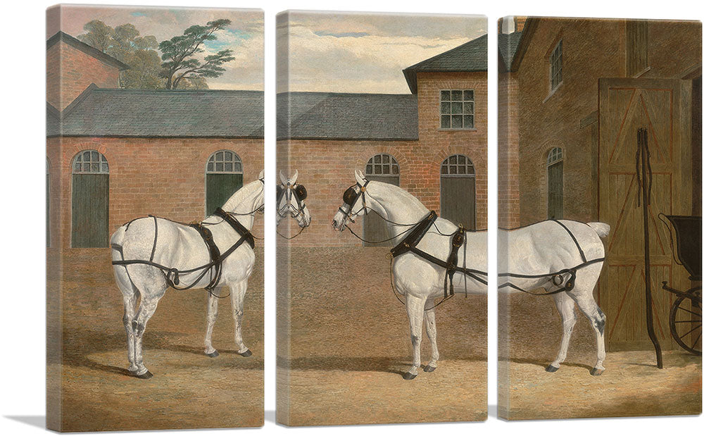 3-panel