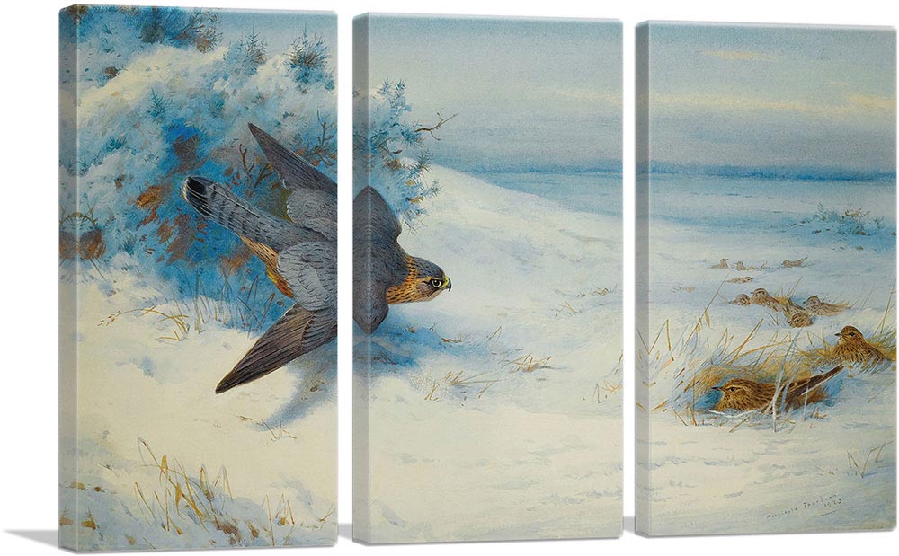 3-panel