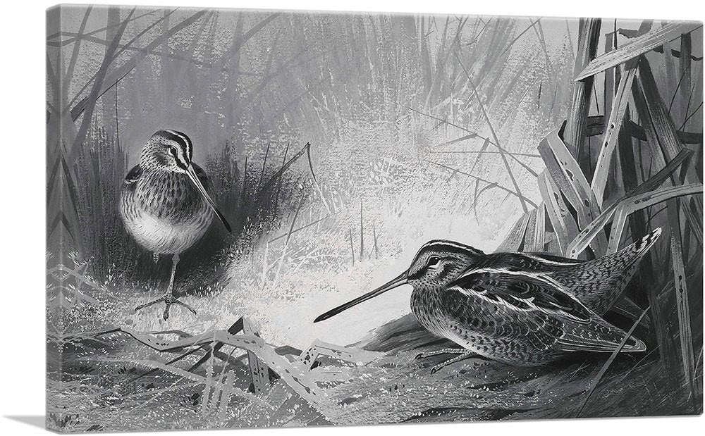 3-panel