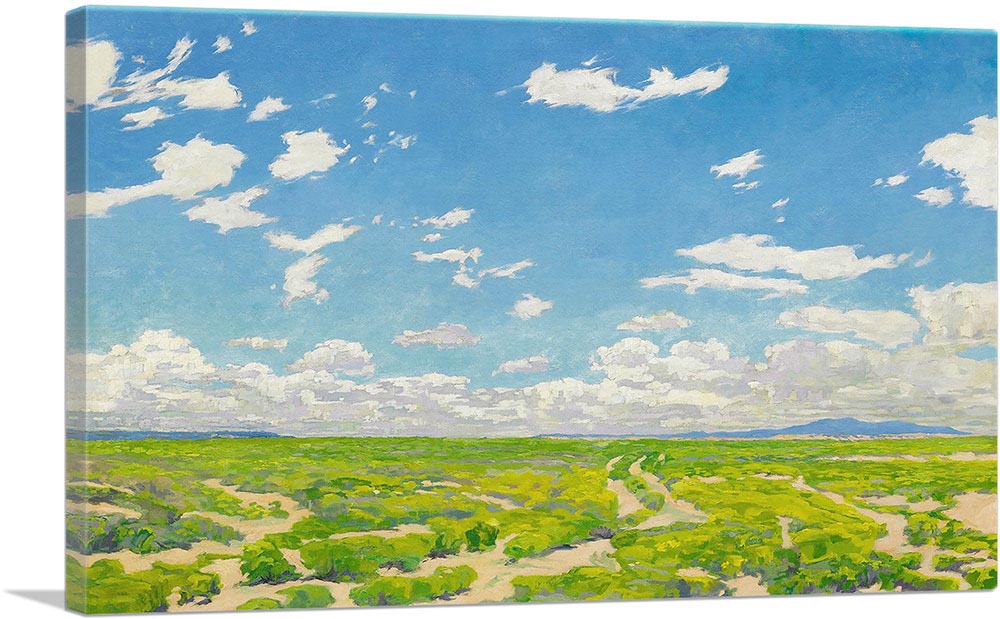 The American Desert
