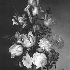 Balthasar van der Ast