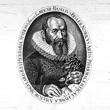 Besler Basilius