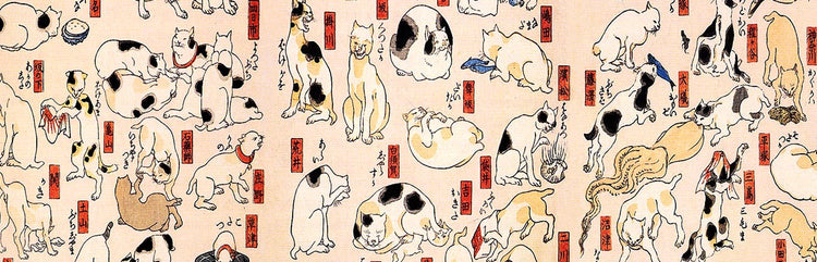 Cats