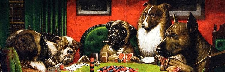 Dogs