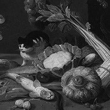 Jan Van Kessel Younger