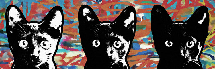 AC Cats