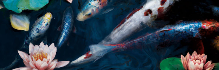AC Koi Carp