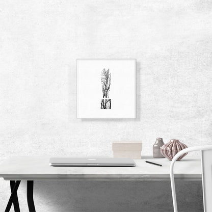 Tree Branches Alphabet Exclamation Point Mark Sign