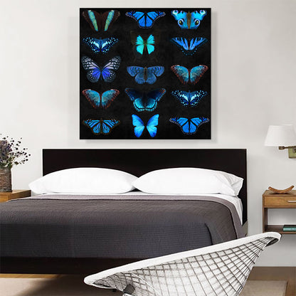 Navy Baby Blue Butterfly Wings Insect Black