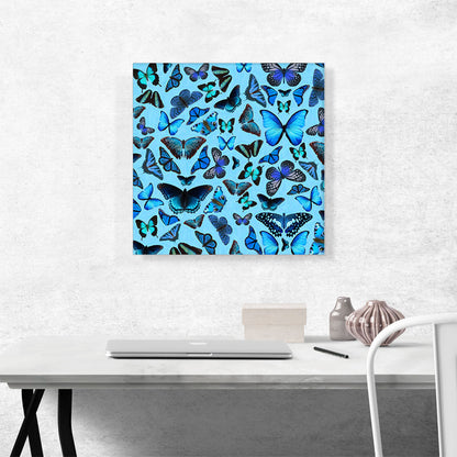 Navy Baby Blue Butterfly Wings Insect