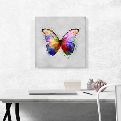 Rainbow Colorful Butterfly Wings Insect