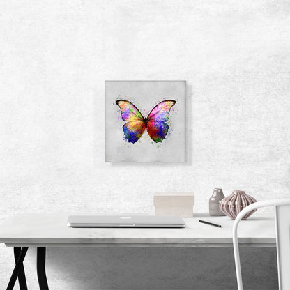 Rainbow Colorful Butterfly Wings Insect