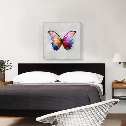 Rainbow Colorful Butterfly Wings Insect