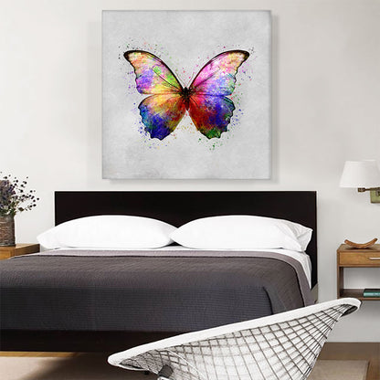 Rainbow Colorful Butterfly Wings Insect