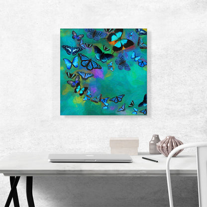 Teal Blue Butterfly Wings Insect