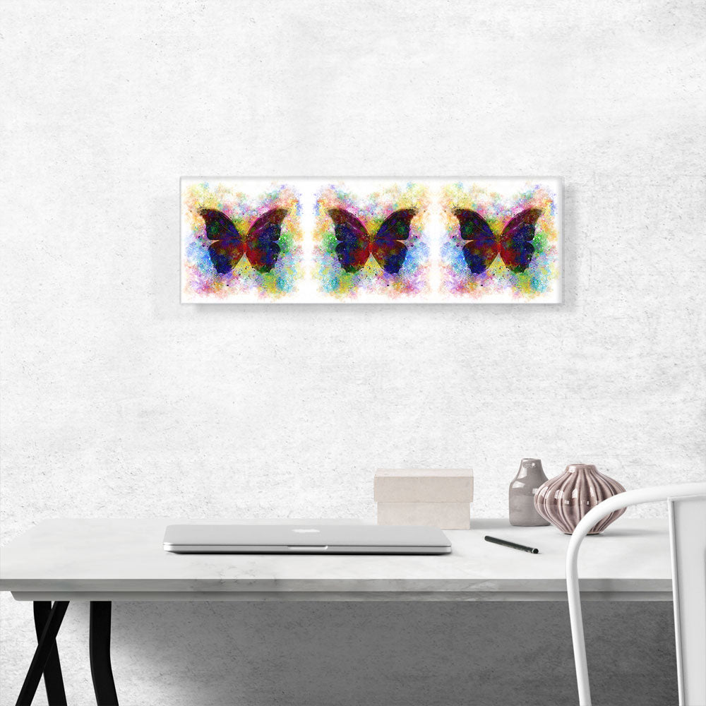 Three Black Dark Butterfly Wings Insect Panoramic