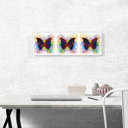 Three Black Dark Butterfly Wings Insect Panoramic