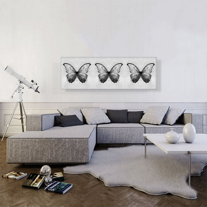 Three Black Gray Butterfly Wings Insect