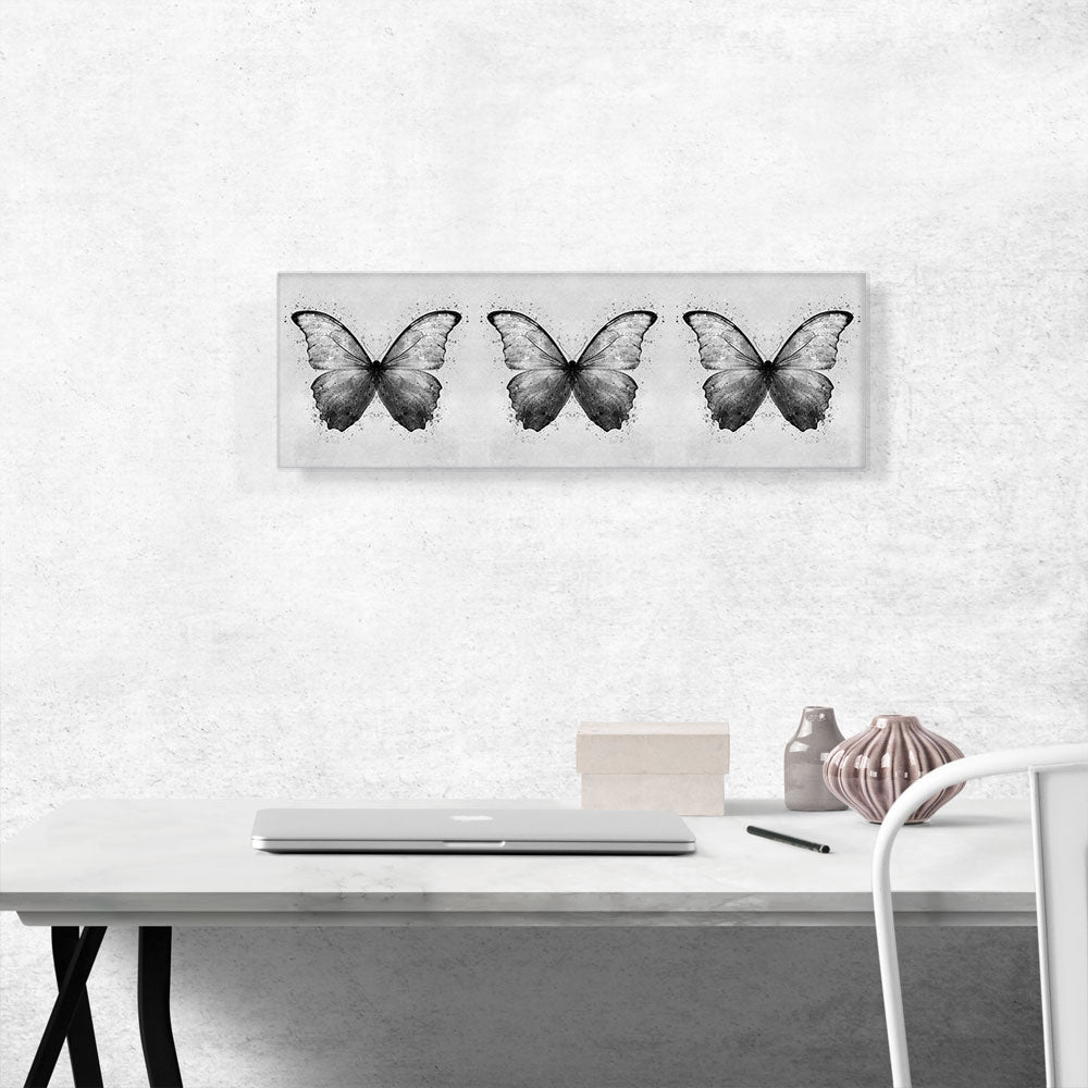 Three Black Gray Butterfly Wings Insect