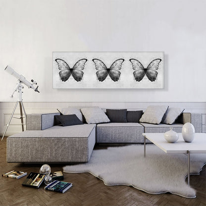 Three Black Gray Butterfly Wings Insect