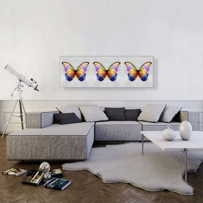 Three Rainbow Colorful Butterfly Wings Insect