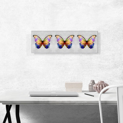 Three Rainbow Colorful Butterfly Wings Insect
