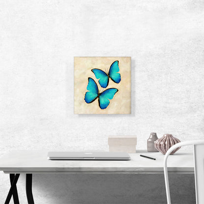 Two Blue Butterfly Wings Insect Tan