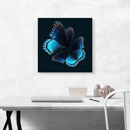 Two Blue Butterfly Wings Insect