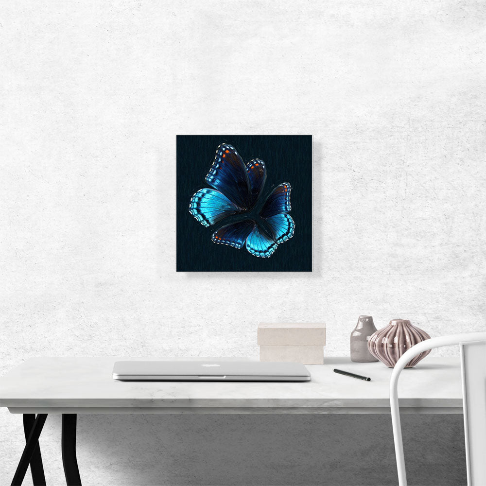 Two Blue Butterfly Wings Insect
