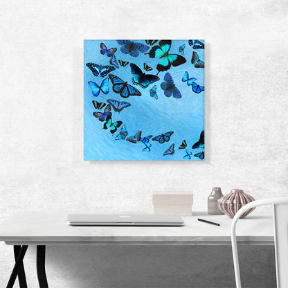 Baby Blue Black Butterfly Wings Insect