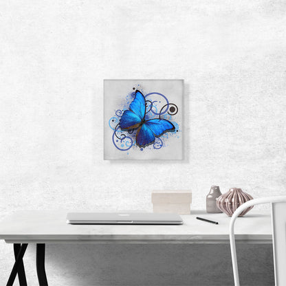 Baby Blue Butterfly Wings Insect Gray