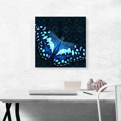 Baby Blue Butterfly Wings Insect
