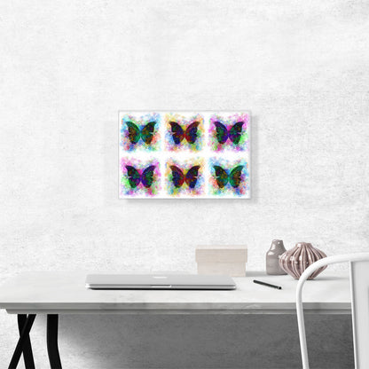 Black Dark Butterfly Wings Insect White
