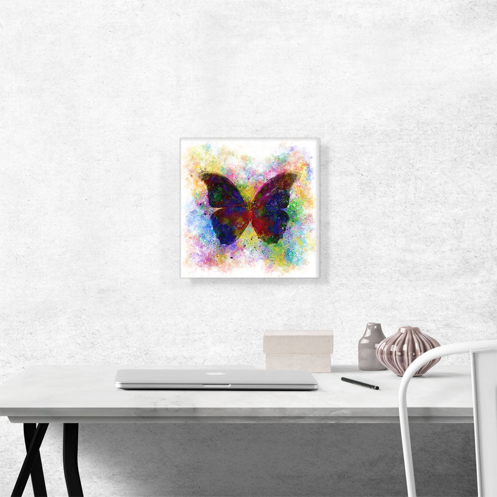 Black Dark Butterfly Wings Insect