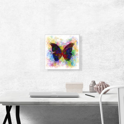 Black Dark Butterfly Wings Insect
